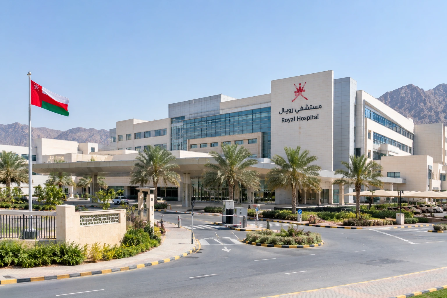 Consultancy & Advisory;Hospitals & Healthcare;Public Procurement